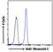 Triggering Receptor Expressed On Myeloid Cells 2 antibody, 46-513, ProSci, Immunohistochemistry paraffin image 