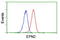 Epsin 2 antibody, LS-C173746, Lifespan Biosciences, Flow Cytometry image 