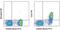 Fc Fragment Of IgE Receptor II antibody, 12-0232-81, Invitrogen Antibodies, Flow Cytometry image 