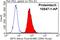 Interferon Regulatory Factor 5 antibody, 10547-1-AP, Proteintech Group, Flow Cytometry image 