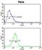 Dipeptidyl Peptidase 8 antibody, abx032834, Abbexa, Flow Cytometry image 