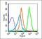 Killer Cell Lectin Like Receptor K1 antibody, GTX50988, GeneTex, Flow Cytometry image 