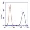 Succinate Dehydrogenase Complex Flavoprotein Subunit A antibody, ab14715, Abcam, Flow Cytometry image 
