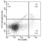 Melanoma Cell Adhesion Molecule antibody, 50794-R241-F, Sino Biological, Flow Cytometry image 