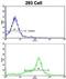 Keratin 10 antibody, abx032944, Abbexa, Flow Cytometry image 