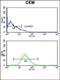 Ankyrin Repeat Domain 30A antibody, orb235011, Biorbyt, Flow Cytometry image 