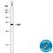 AKT Serine/Threonine Kinase 2 antibody, AF23151, R&D Systems, Western Blot image 