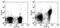 Signaling Lymphocytic Activation Molecule Family Member 1 antibody, 12-1501-82, Invitrogen Antibodies, Flow Cytometry image 