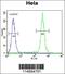 T-Box 6 antibody, 55-978, ProSci, Flow Cytometry image 