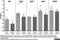 Ig kappa-b4 chain C region antibody, AAI38F, Bio-Rad (formerly AbD Serotec) , Immunohistochemistry frozen image 