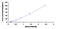 Cystathionine Gamma-Lyase antibody, MBS2021196, MyBioSource, Enzyme Linked Immunosorbent Assay image 