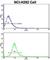 Cullin 5 antibody, abx033487, Abbexa, Western Blot image 