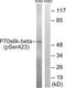 Ribosomal Protein S6 Kinase B2 antibody, LS-C199393, Lifespan Biosciences, Western Blot image 