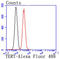 Telomerase Reverse Transcriptase antibody, A00012-1, Boster Biological Technology, Flow Cytometry image 