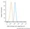 RNA Binding Fox-1 Homolog 3 antibody, NBP1-92693AF647, Novus Biologicals, Flow Cytometry image 