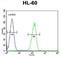 G Protein-Coupled Receptor 142 antibody, abx026182, Abbexa, Western Blot image 