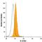 Interleukin-13 receptor subunit alpha-1 antibody, FAB1462C, R&D Systems, Flow Cytometry image 