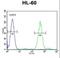 Forkhead box protein C2 antibody, LS-C166217, Lifespan Biosciences, Flow Cytometry image 