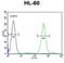 Forkhead Box C2 antibody, LS-C166217, Lifespan Biosciences, Flow Cytometry image 