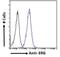 ETS Transcription Factor ERG antibody, NB100-2472, Novus Biologicals, Flow Cytometry image 