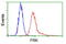 Fyn Related Src Family Tyrosine Kinase antibody, LS-C799275, Lifespan Biosciences, Flow Cytometry image 