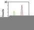 CD46 Molecule antibody, V2190-100UG, NSJ Bioreagents, Flow Cytometry image 