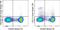 CD11C antibody, 78-0114-82, Invitrogen Antibodies, Flow Cytometry image 