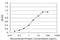 Ribosomal Protein S6 Kinase B1 antibody, H00006198-M04, Novus Biologicals, Enzyme Linked Immunosorbent Assay image 