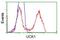 Uridine-Cytidine Kinase 1 antibody, GTX83441, GeneTex, Flow Cytometry image 