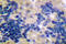 Caspase 10 antibody, LS-C175942, Lifespan Biosciences, Immunohistochemistry paraffin image 