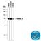 SMAD2 antibody, AF3797, R&D Systems, Western Blot image 