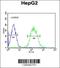 CLK4 Associating Serine/Arginine Rich Protein antibody, 61-896, ProSci, Flow Cytometry image 