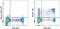Killer Cell Lectin Like Receptor G1 antibody, 12-9488-41, Invitrogen Antibodies, Flow Cytometry image 