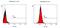 ATPase Na+/K+ Transporting Subunit Alpha 1 antibody, MA1-16731, Invitrogen Antibodies, Flow Cytometry image 