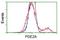 cGMP-dependent 3 ,5 -cyclic phosphodiesterase antibody, NBP2-03598, Novus Biologicals, Flow Cytometry image 