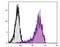 CD69 Molecule antibody, NBP1-28011, Novus Biologicals, Flow Cytometry image 