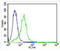 Lipoprotein Lipase antibody, MBS9207576, MyBioSource, Flow Cytometry image 