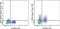 Ectonucleoside Triphosphate Diphosphohydrolase 1 antibody, 56-0391-80, Invitrogen Antibodies, Flow Cytometry image 