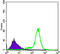 Interleukin 34 antibody, M06903, Boster Biological Technology, Enzyme Linked Immunosorbent Assay image 