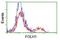 Folate Hydrolase 1 antibody, NBP2-02045, Novus Biologicals, Flow Cytometry image 