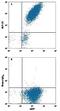 Glucagon Like Peptide 1 Receptor antibody, FAB2814A, R&D Systems, Flow Cytometry image 