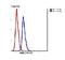 RNA Binding Motif Protein 48 antibody, orb156155, Biorbyt, Flow Cytometry image 