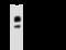 Aldose reductase antibody, GTX02351, GeneTex, Immunoprecipitation image 