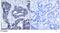 Insulin Receptor Substrate 1 antibody, GTX79035, GeneTex, Immunohistochemistry paraffin image 