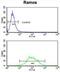 Eukaryotic Translation Elongation Factor 1 Delta antibody, abx032848, Abbexa, Flow Cytometry image 