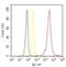 Keratin 13 antibody, MA5-12135, Invitrogen Antibodies, Flow Cytometry image 