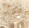Prolyl 4-Hydroxylase Subunit Beta antibody, NBP2-41319, Novus Biologicals, Immunohistochemistry frozen image 