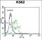 MAGUK p55 subfamily member 3 antibody, PA5-71779, Invitrogen Antibodies, Flow Cytometry image 