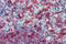 Major Histocompatibility Complex, Class I, E antibody, SM3113P, Origene, Immunohistochemistry frozen image 