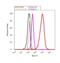 Keratin 5 antibody, MA5-12596, Invitrogen Antibodies, Flow Cytometry image 